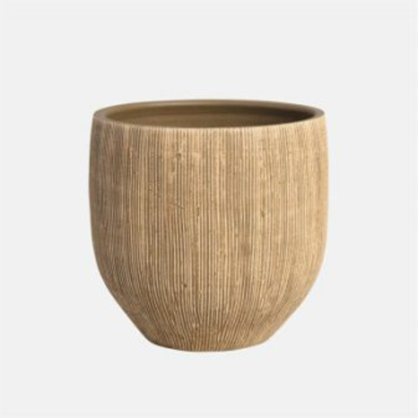 Cocoa 35x22cm tostado                             