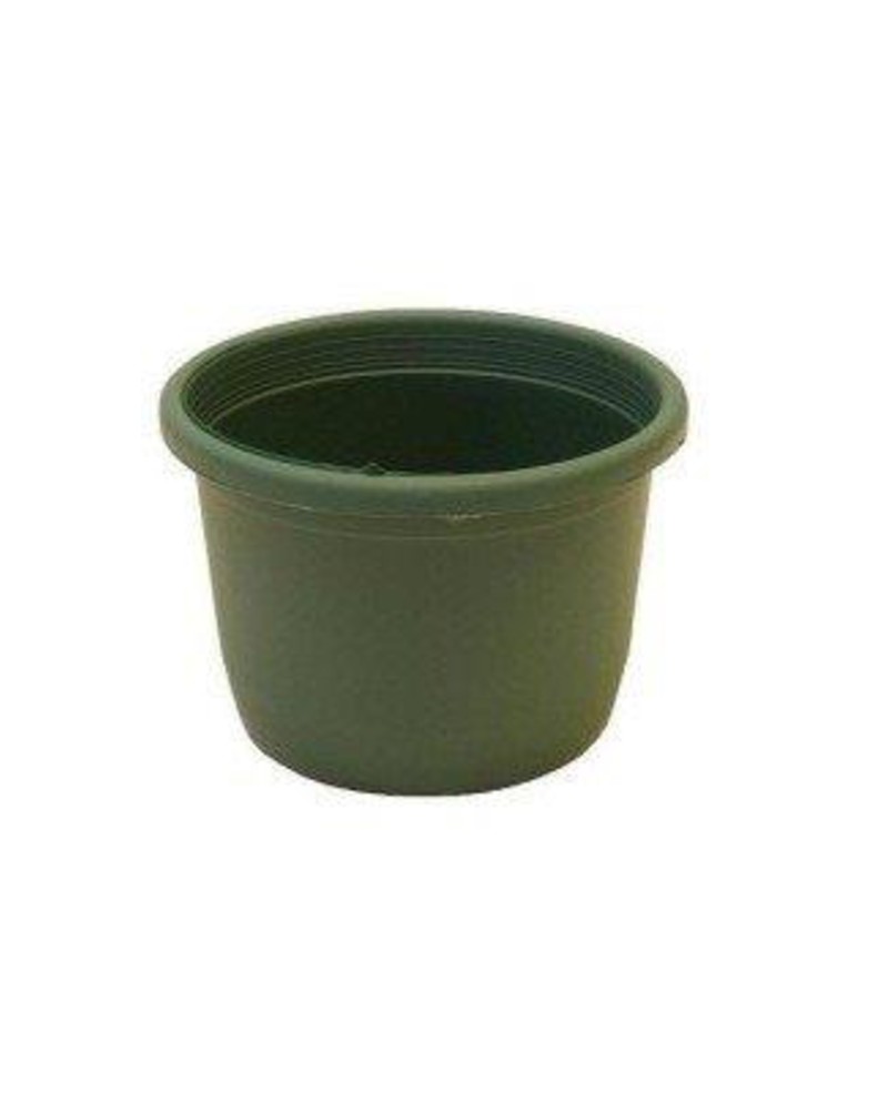 Tarrina plastico verde Ø12xh9.5cm                 