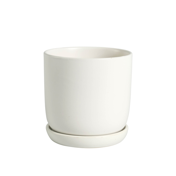 Cuneo+plato 15x13cm blanco                        