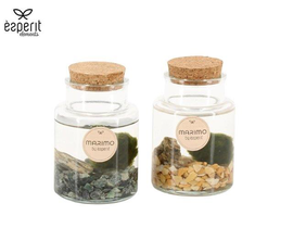 Marimo en botella 7x10                            