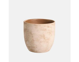 Apricot 24x17cm crema                             