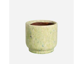 Acebo 17x16cm verde claro                         