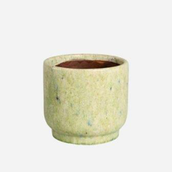 Acebo 17x16cm verde claro                         