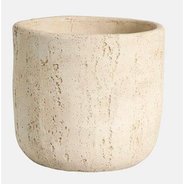 Imperata 13x13cm crema                            