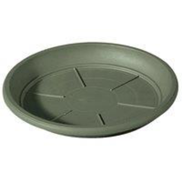 Plato day Ø22 verde                               