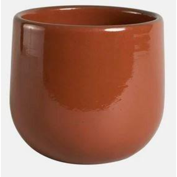 Guinea 24x21cm toffe                              