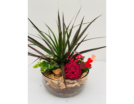 Centro cristal bowl Ø20                           