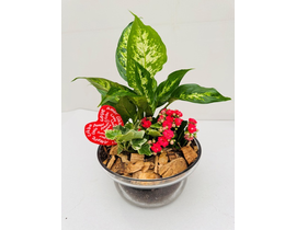 Centro cristal doble 20Ø                          