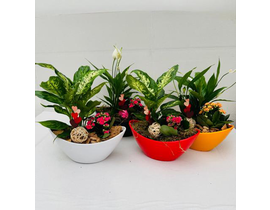 Centro melamina barca 26cm                        