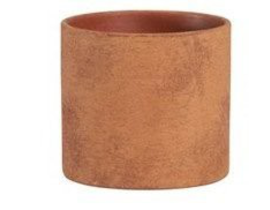Golden 14x12cm toffe                              