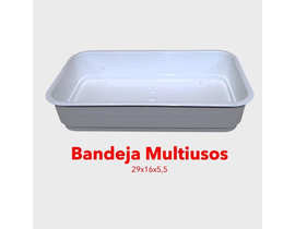 Bandeja multiusos blanca 29x16x5.5                