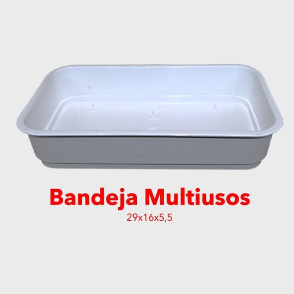 Bandeja multiusos blanca 29x16x5.5                