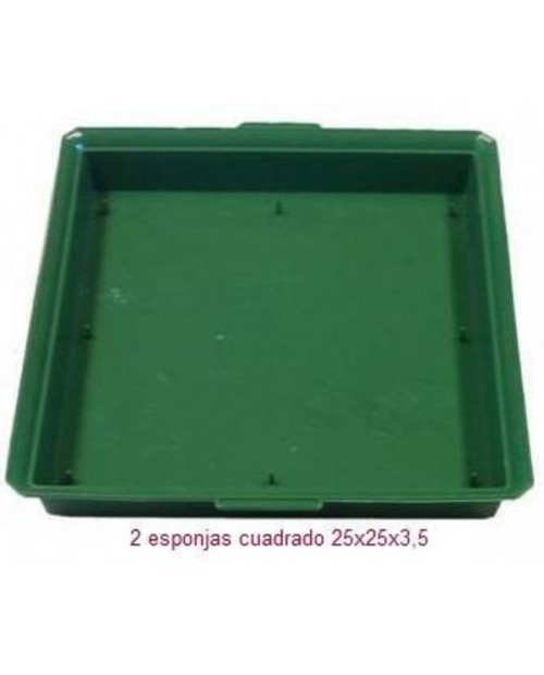 Bandeja plastico eco 2 pastillas cuadrada         