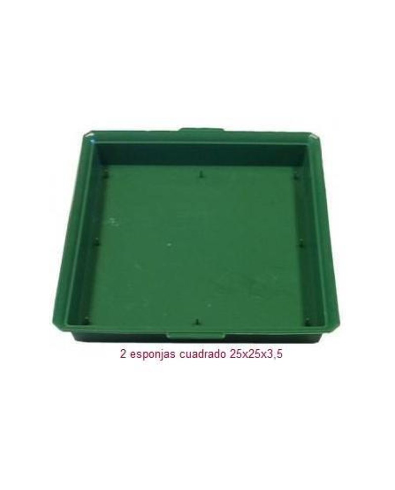 Bandeja plastico eco 2 pastillas cuadrada         