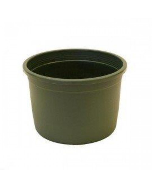 Tarrina plastico verde Ø17xh12cm                  