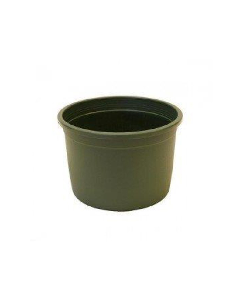 Tarrina plastico verde Ø17xh12cm                  