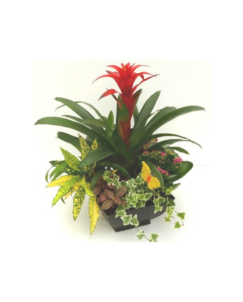 Centro zinc redondo 25Ø                           