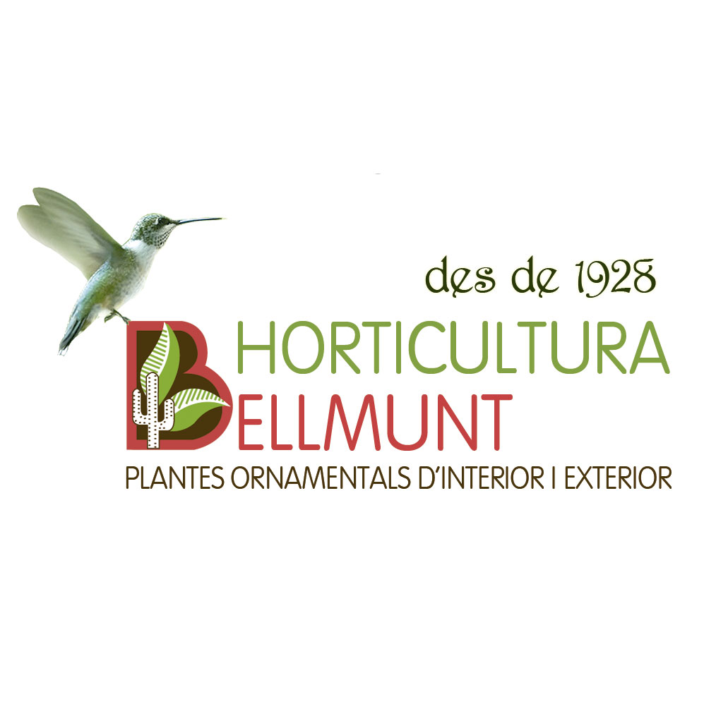 Azulador hortensia sobre para 5lt - Horticultura Bellmunt